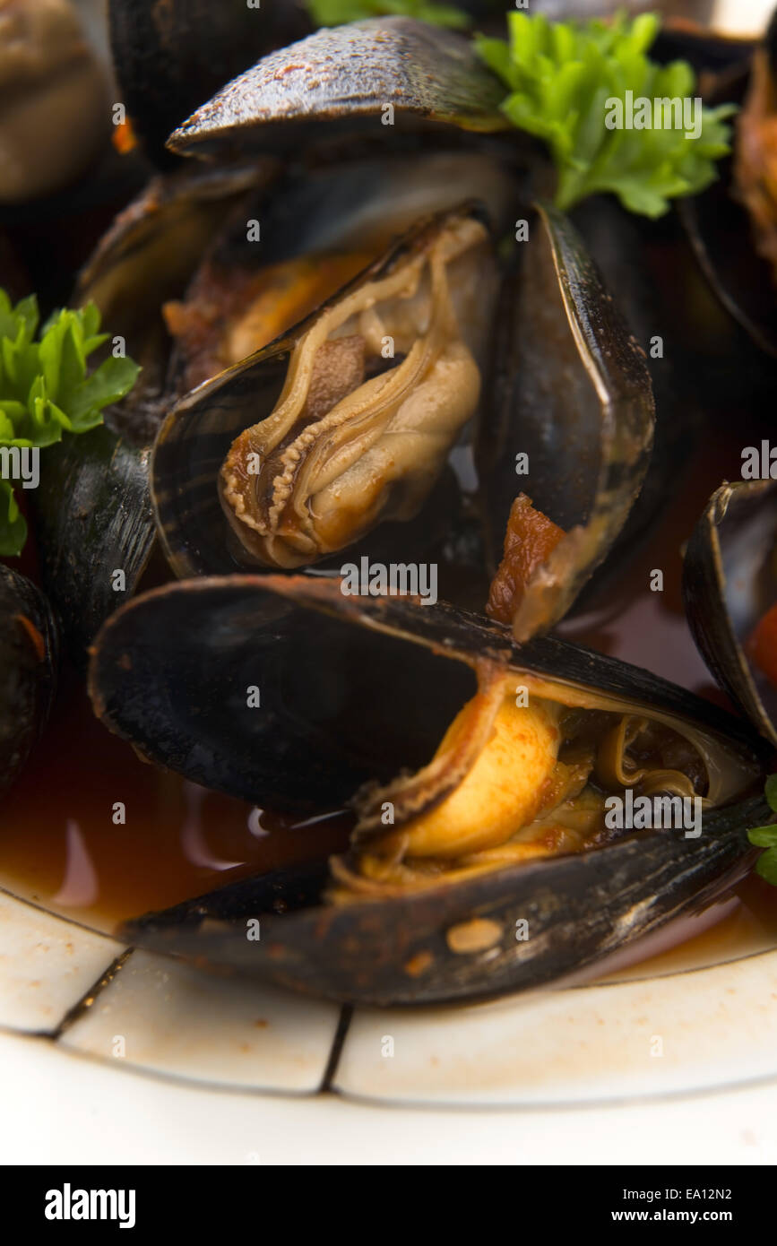 Clams in tomato sauce Stock Photo Alamy