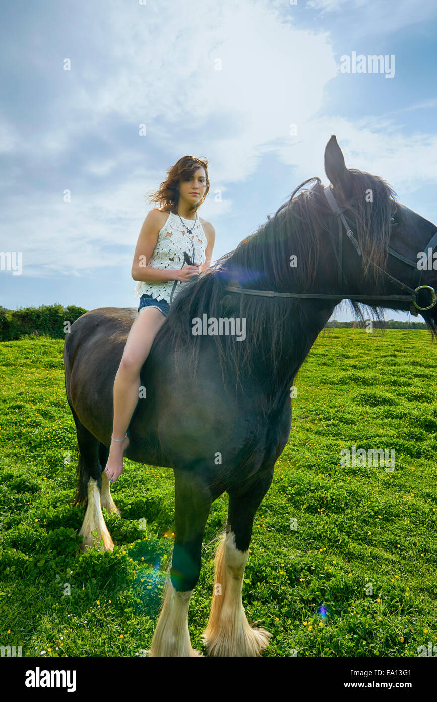 Portrait of young woman riding horse in field Stock Photo
