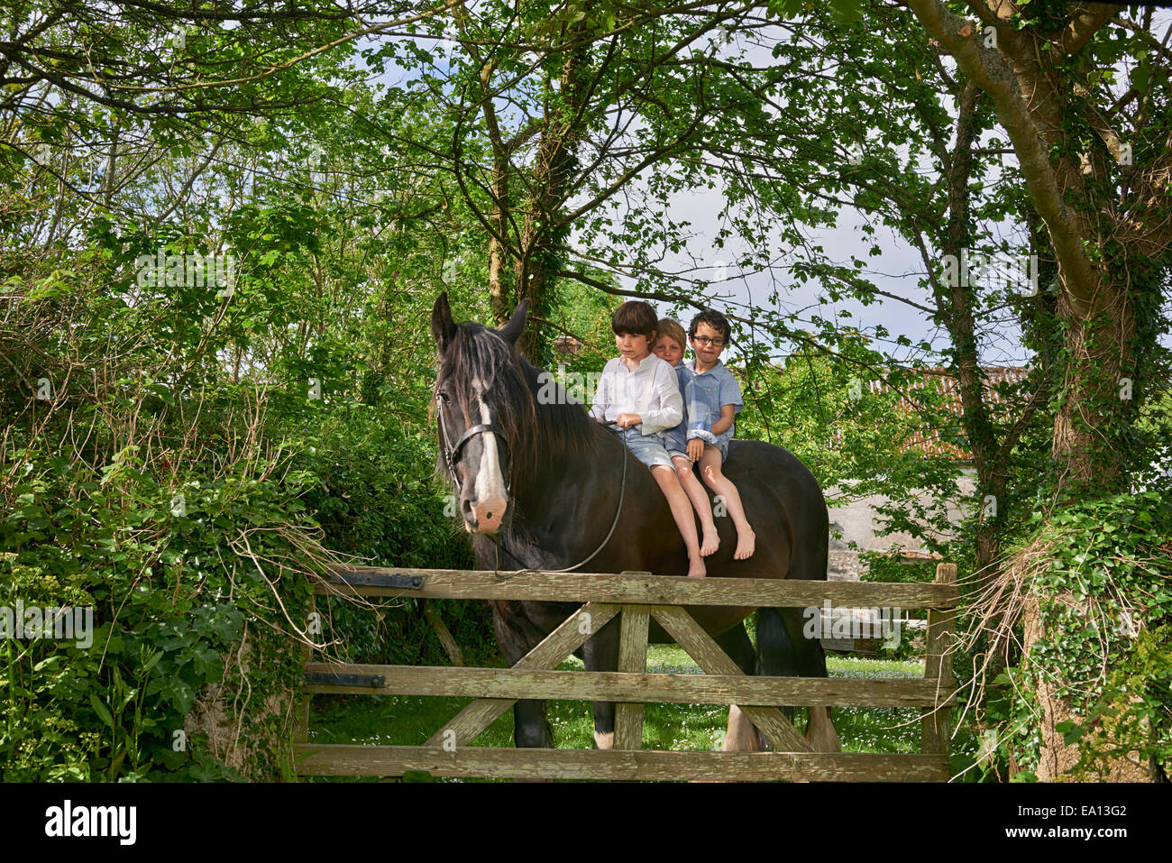 Portrait of three boys riding horse at field gate Stock Photo