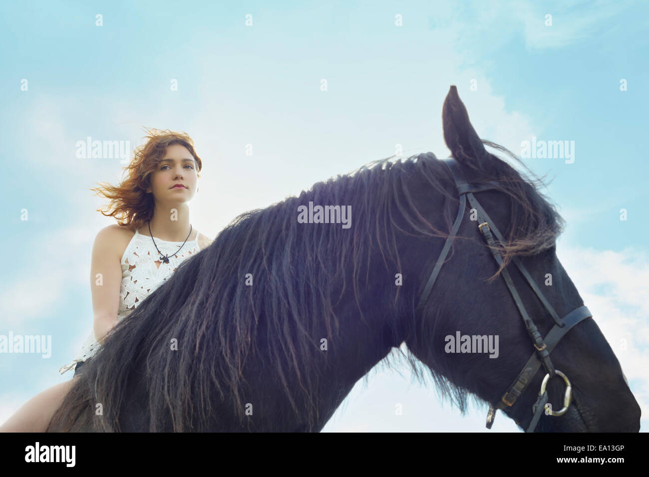 Portrait of young woman on horse Stock Photo