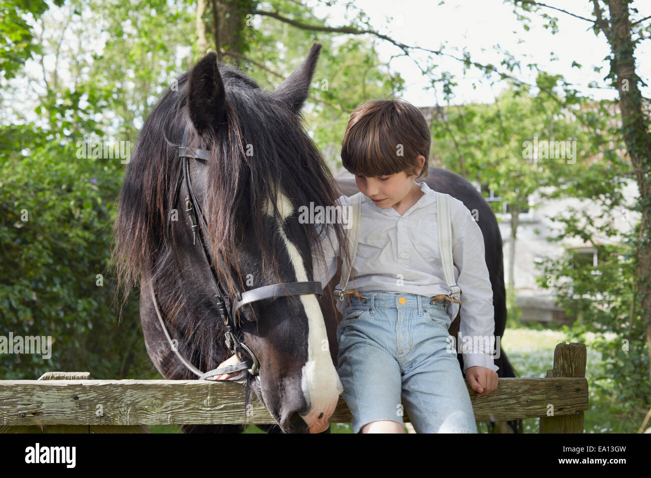 Portrait of boy sitting on farm gate with horse Stock Photo