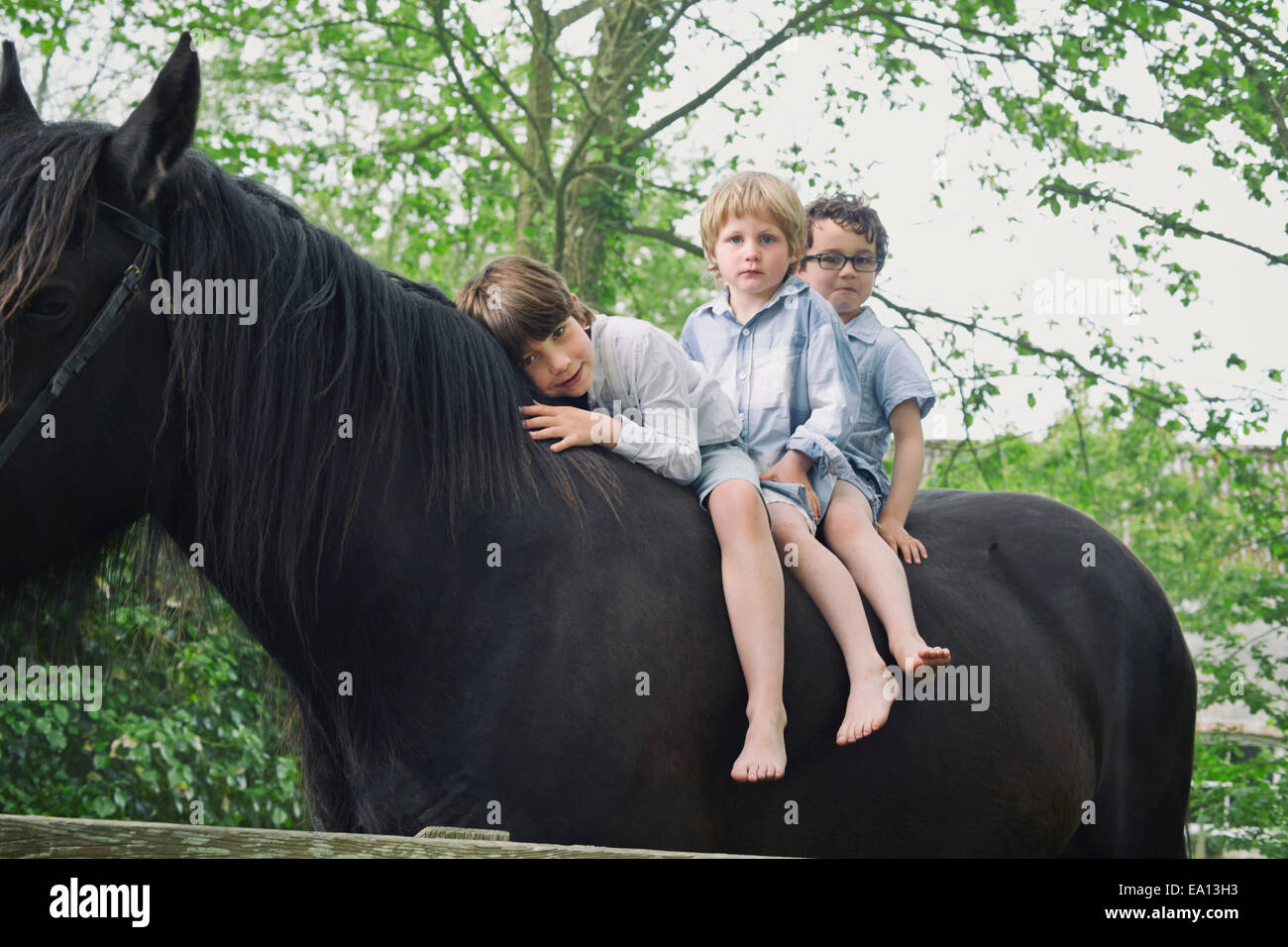 Three boys in a row riding on horse in woods Stock Photo