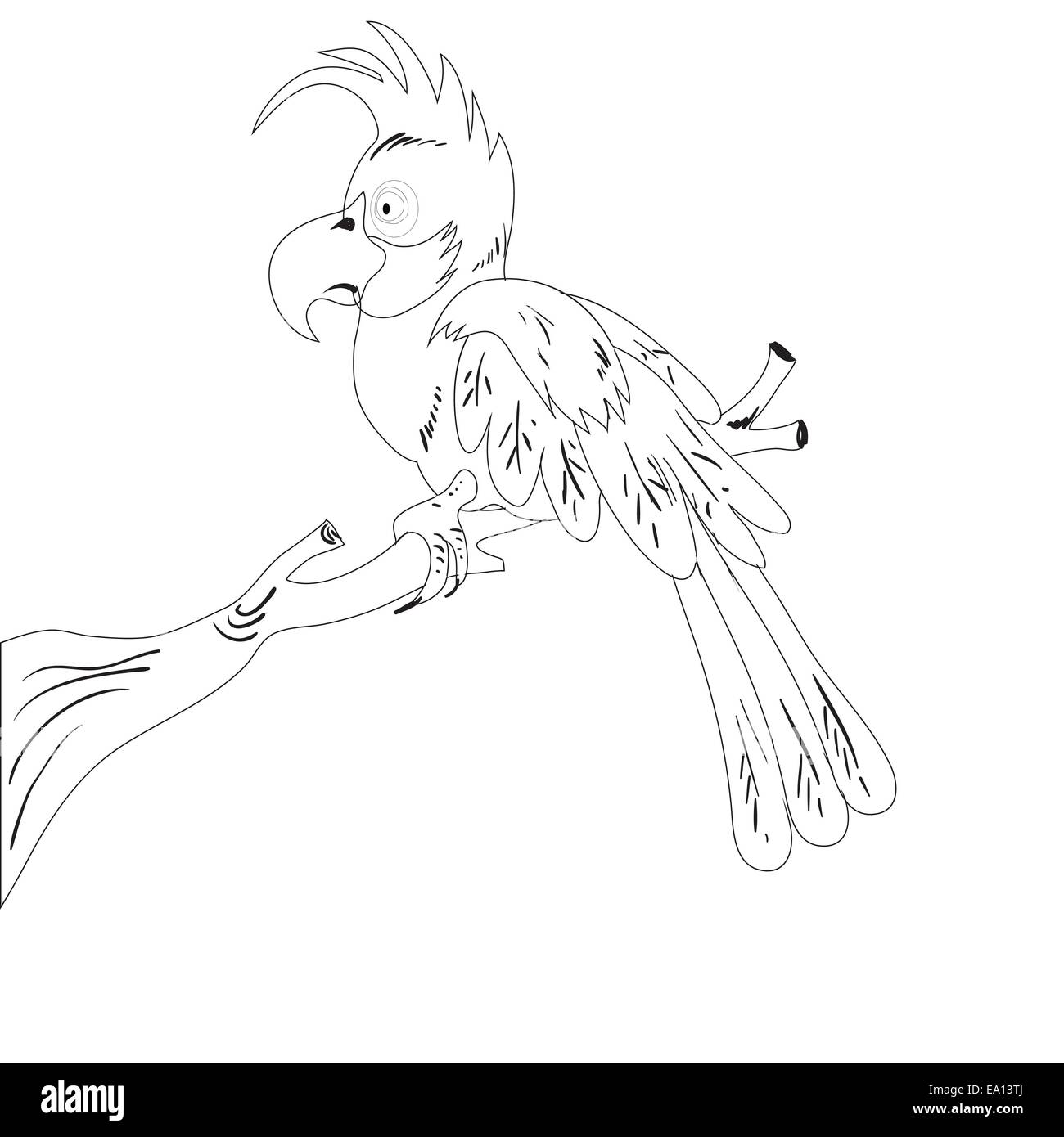 parrot Stock Photo