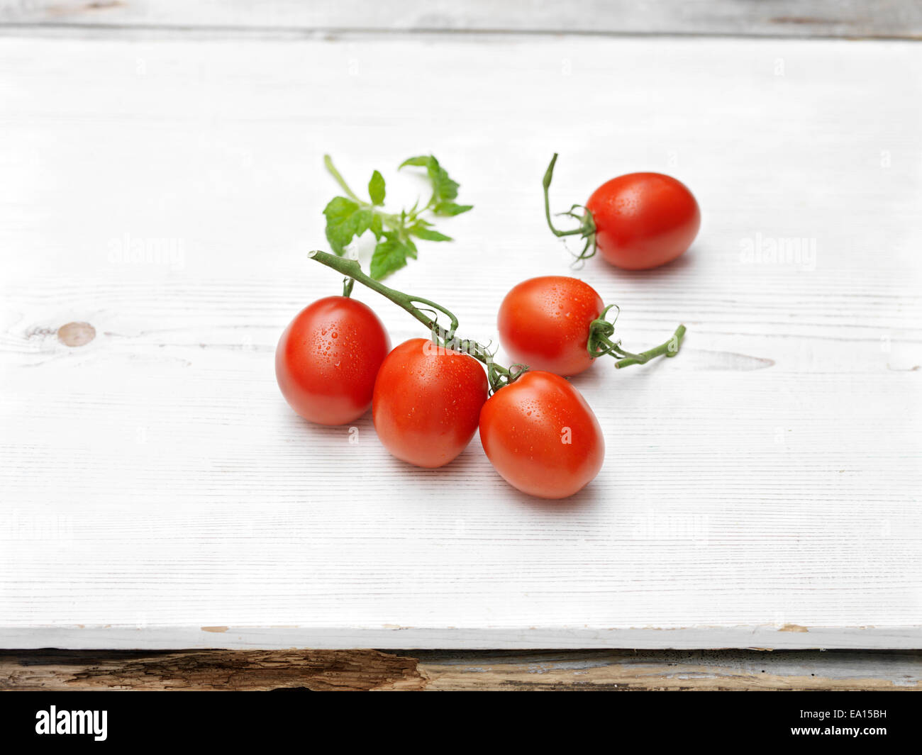 Red juicy sweet plum vine raw tomatoes Stock Photo