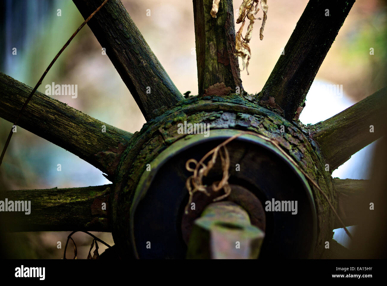 Europa rad hi-res stock photography and images - Page 5 - Alamy