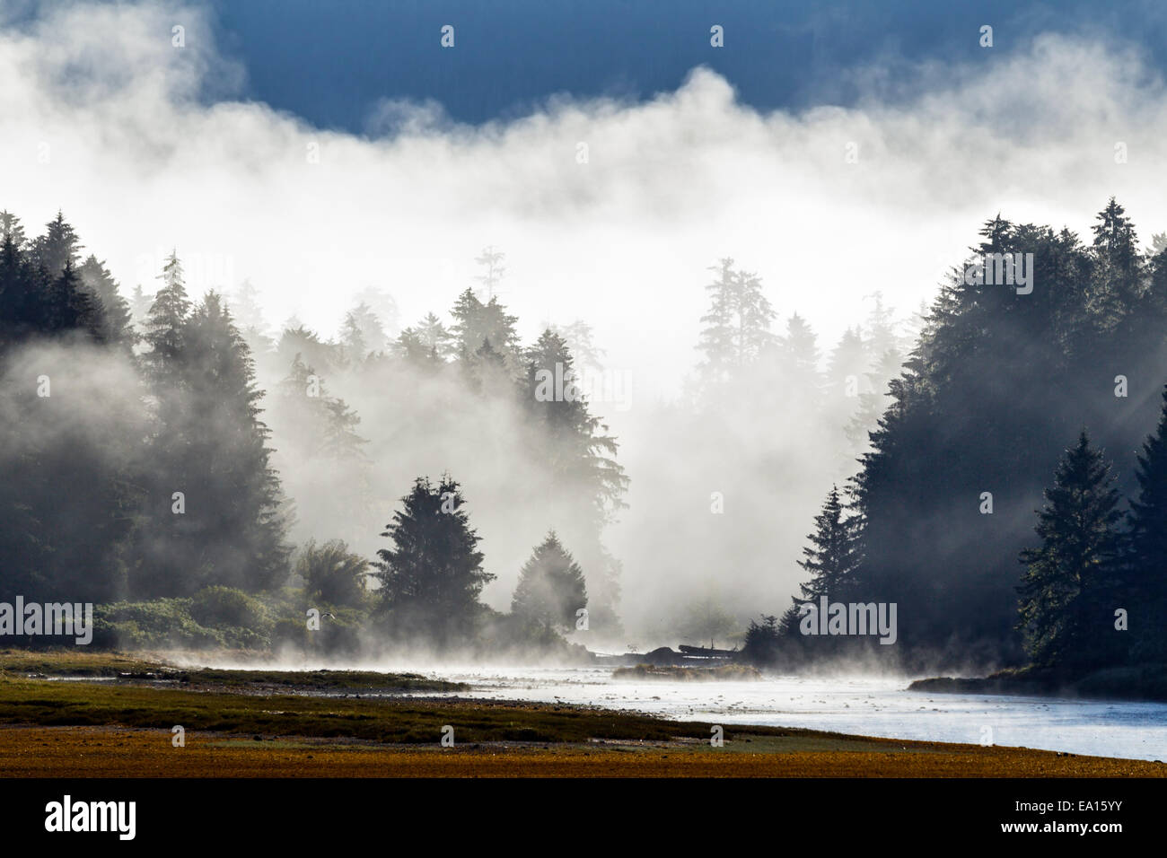 An early morning mist rises from the river and coastal rainforest of the Tongass National Forest in Southeast Alaska, USA. Stock Photo