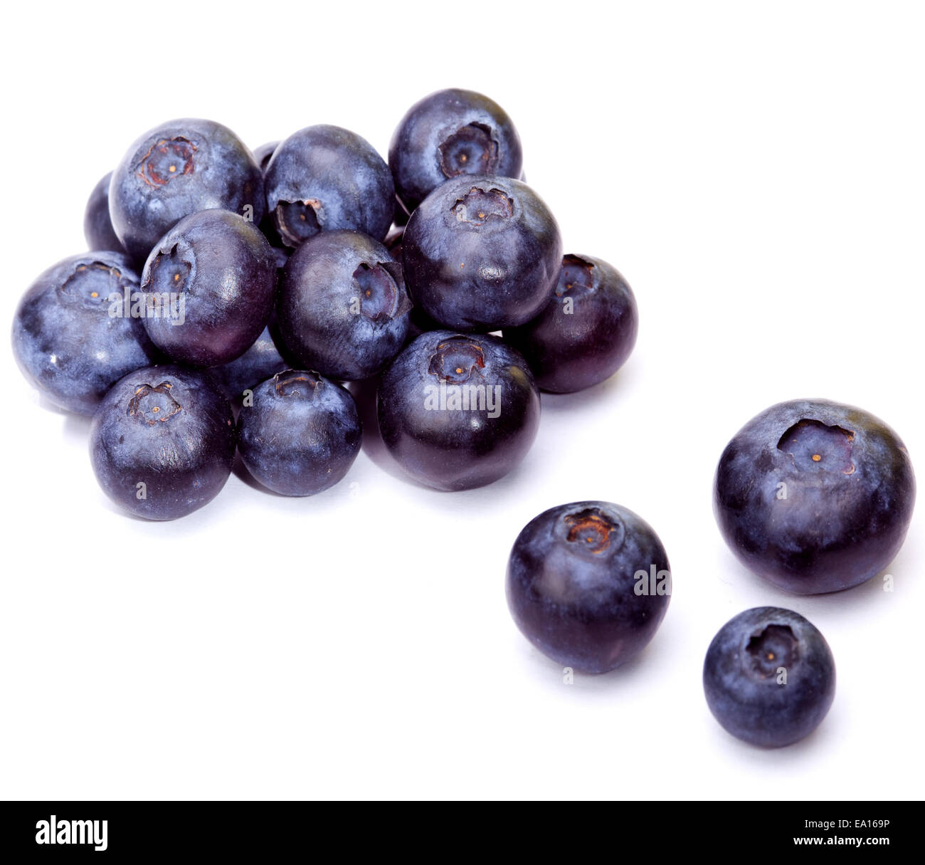 Berries of a bilberry Stock Photo