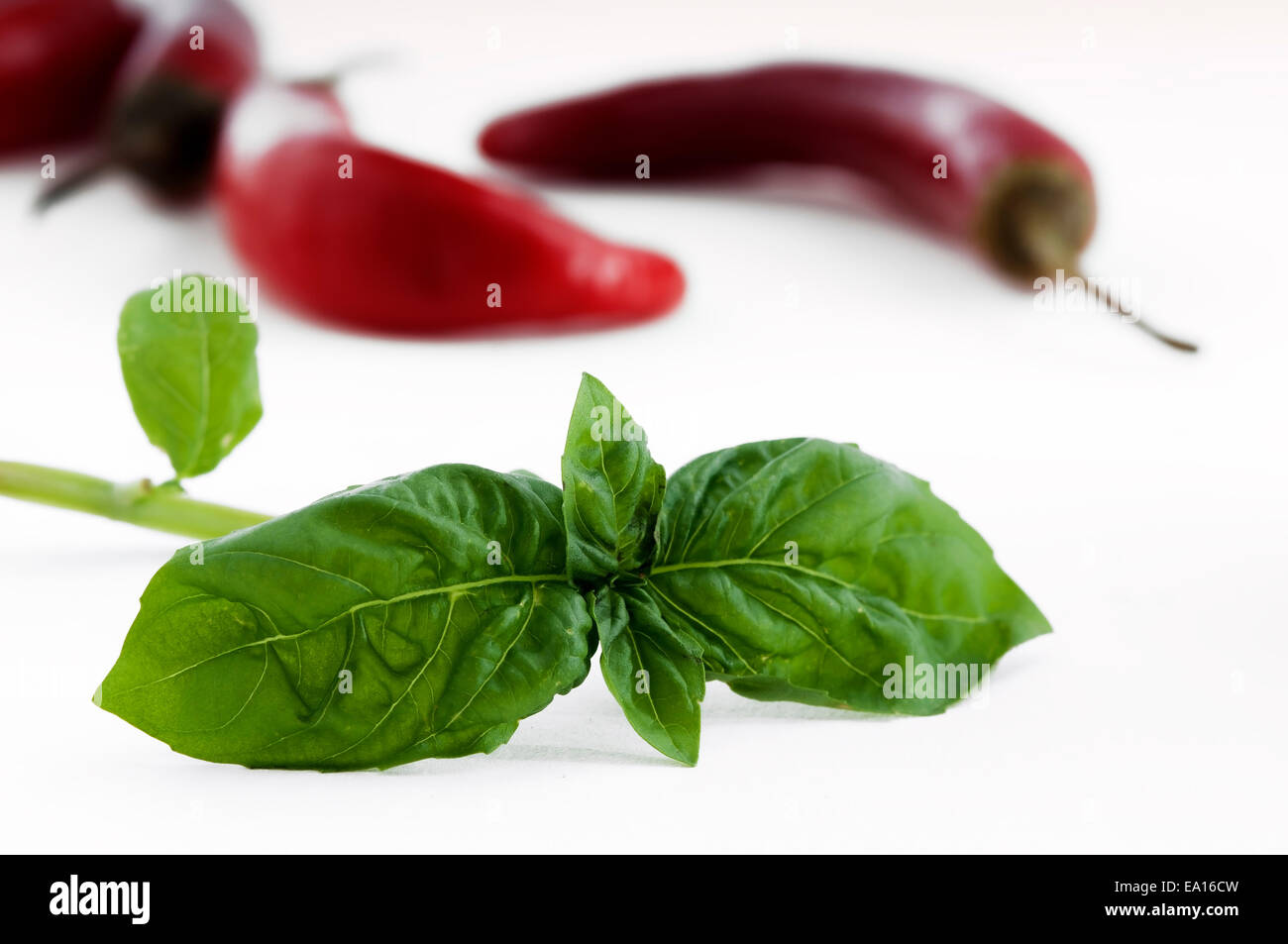 Spices widely used to flavor Mediterranean cuisine Stock Photo