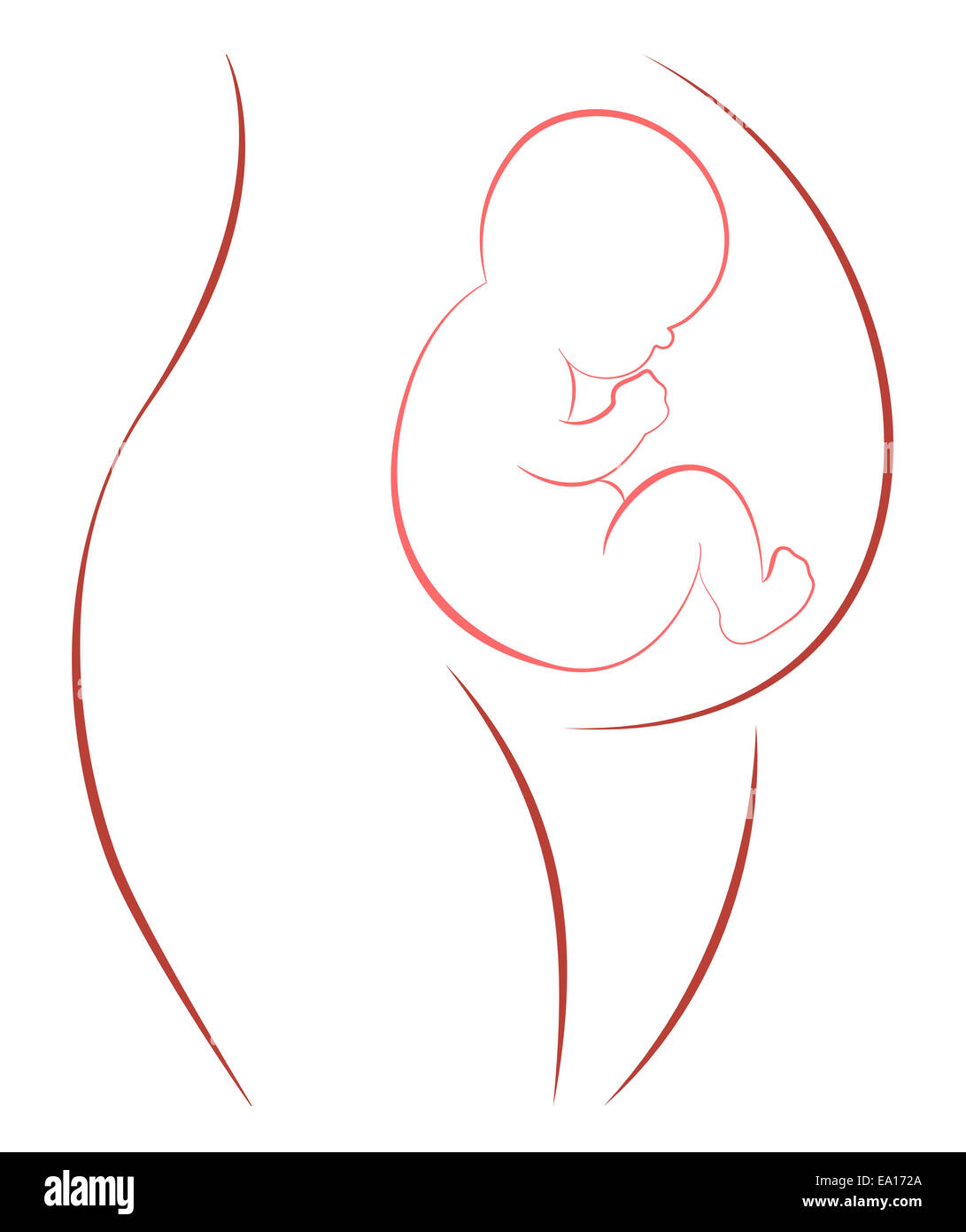 Pregnancy Symbol Pregnant Mother With Snoozing Baby In Her Belly Stock Photo Alamy Pregnancy Symbol Pregnant Mother With Snoozing Baby In Her Belly Stock Photo Alamy