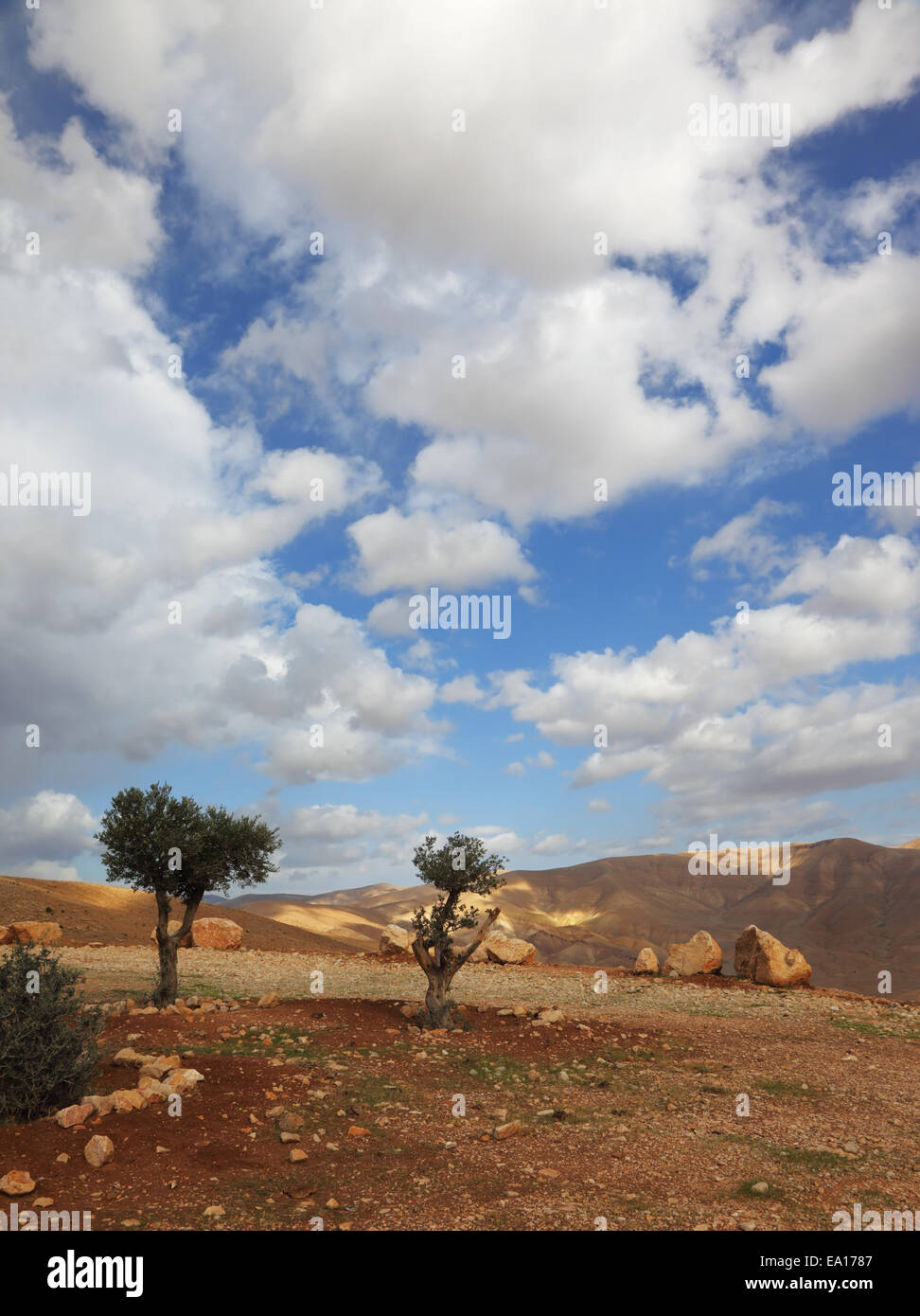 Clear spring morning in the mountains Stock Photo