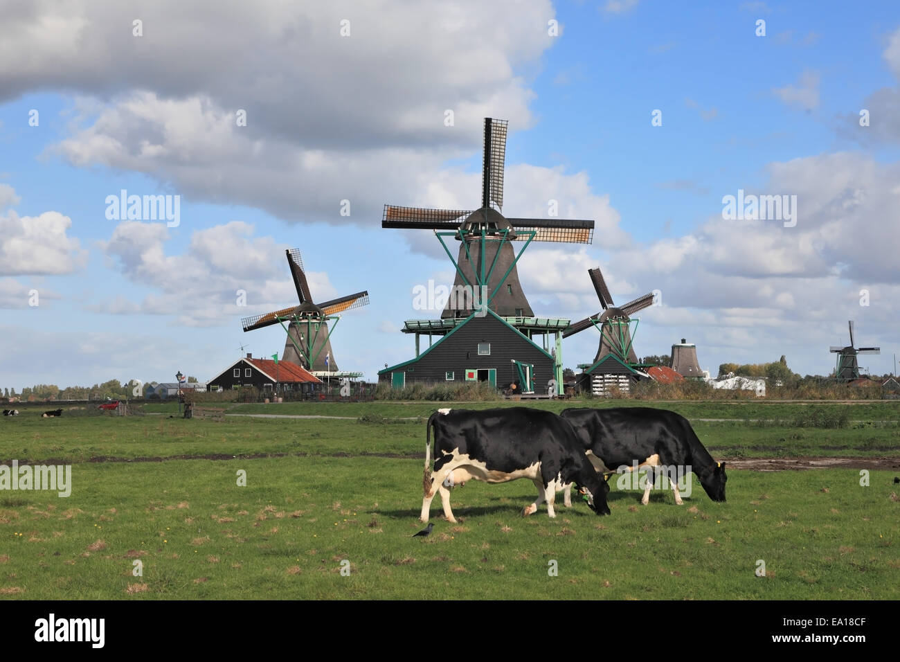 The Dutch pastoral Stock Photo