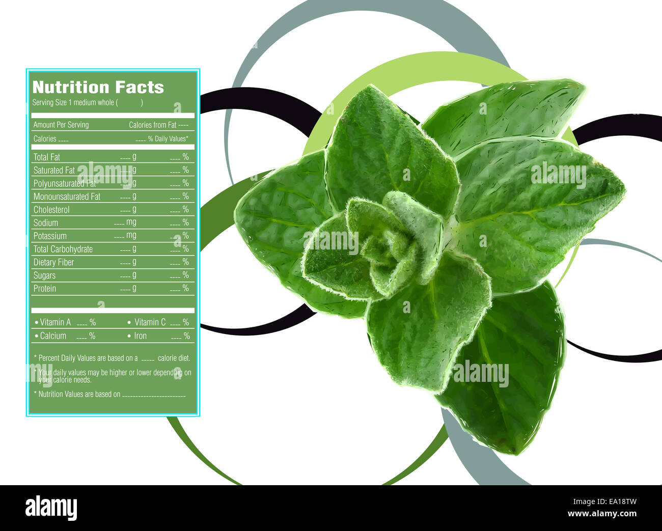 thyme herb nutrition facts Stock Photo Alamy