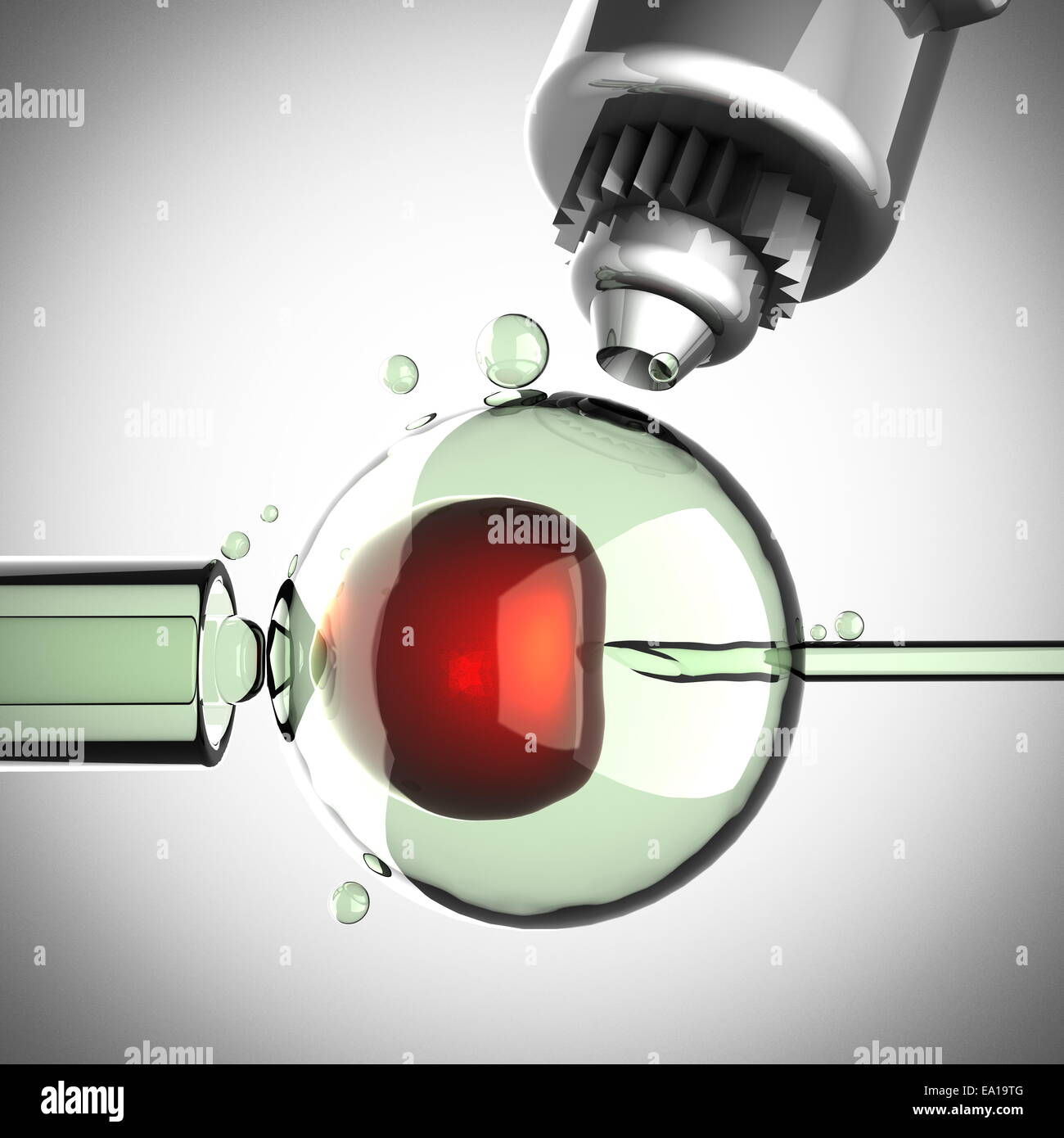 artificial insemination on gray background Stock Photo