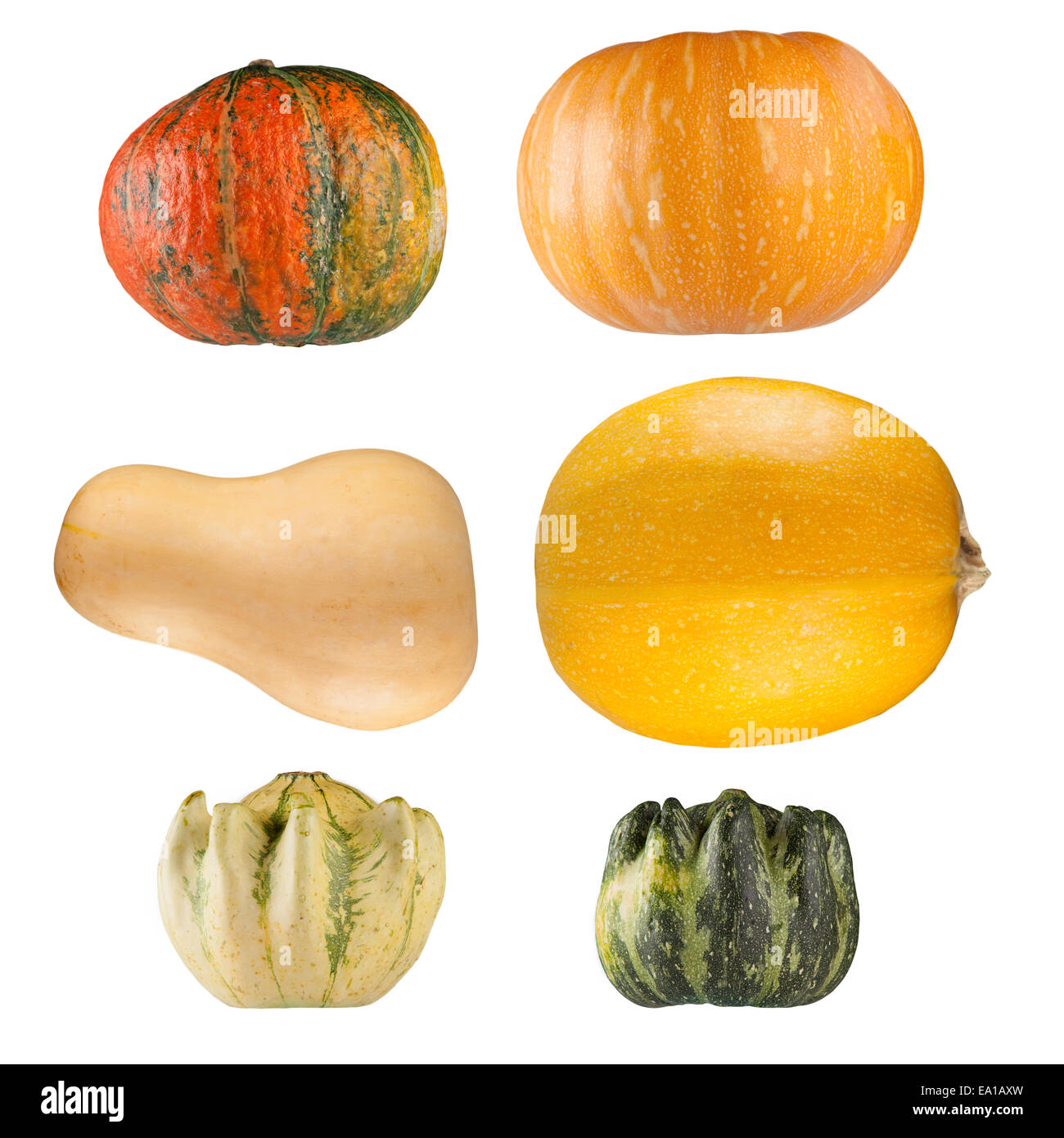 Set of isolated pumpkins on white background Stock Photo - Alamy