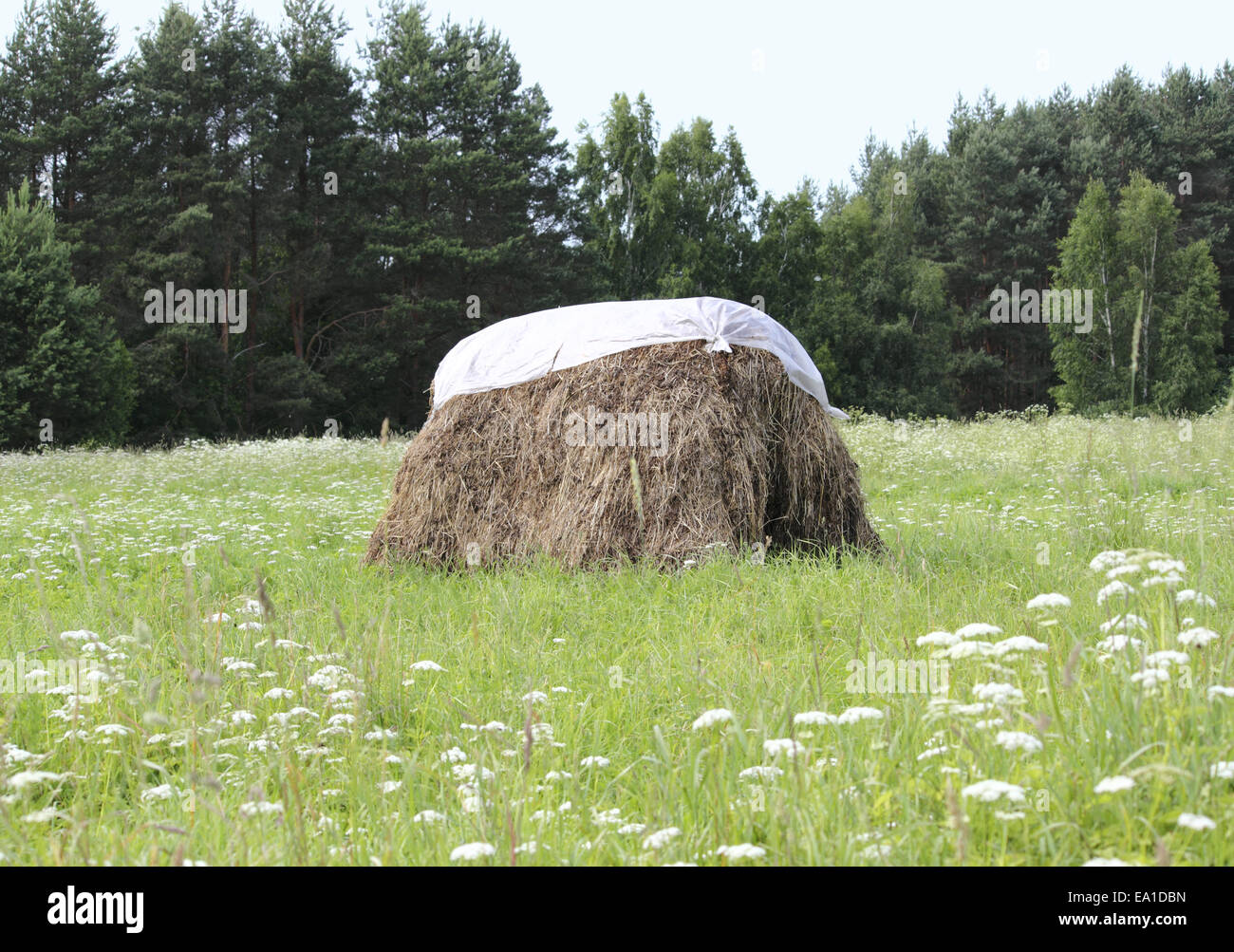 Haystack Stock Photo Haystacking hi-res stock photography and images - Alamy