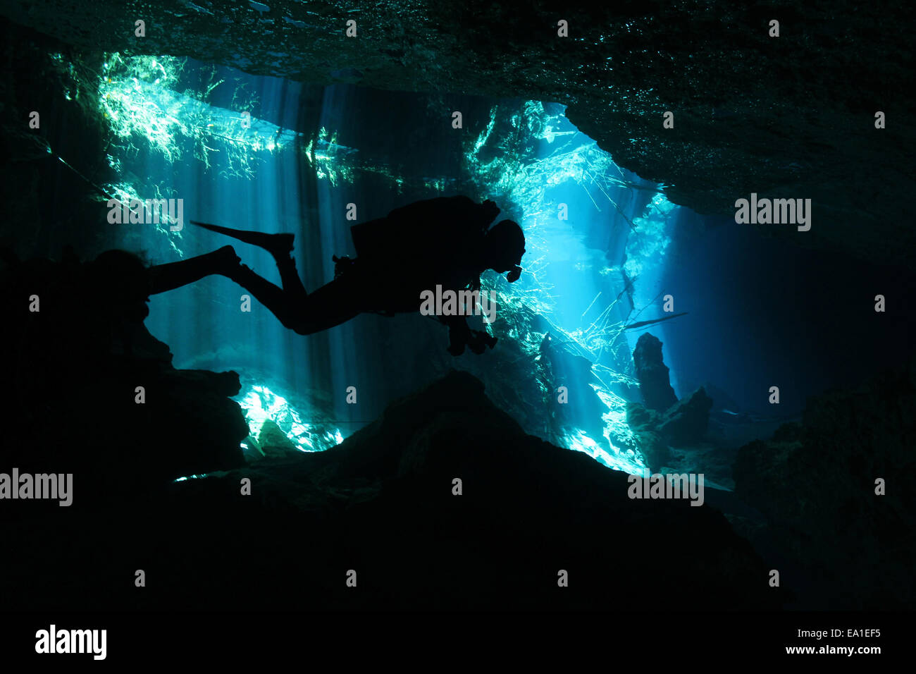 Silhouette of a Diver in a Cenote Stock Photo