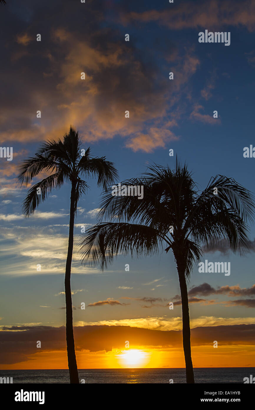 Tropic sunset hi-res stock photography and images - Alamy
