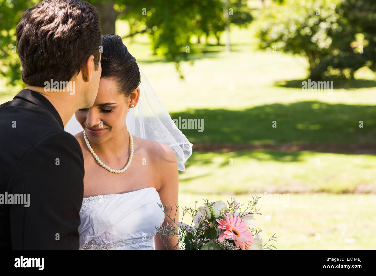Groom kissing his beautiful bride at park Stock Photo - Alamy