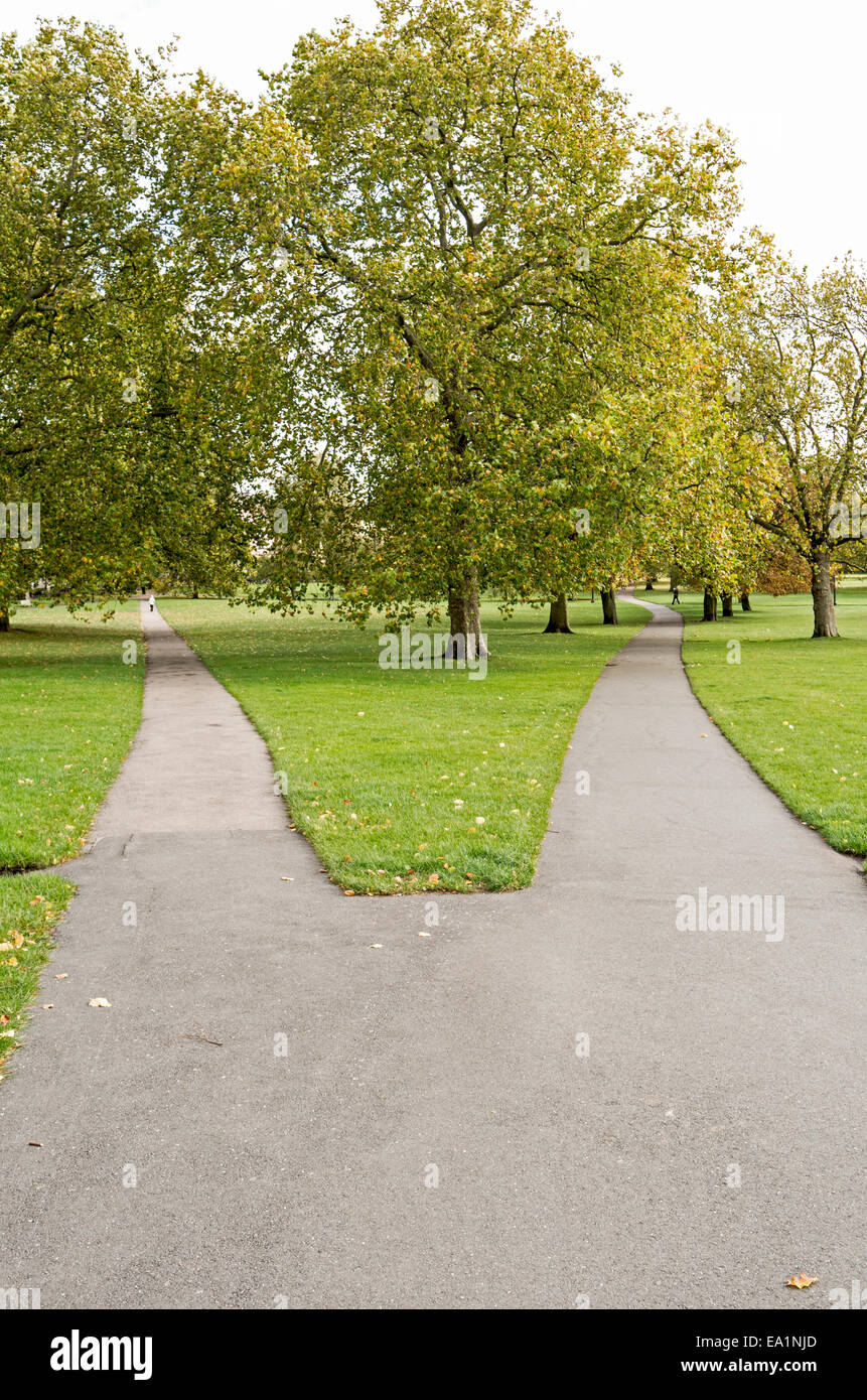 A path running through a park splits in two. Stock Photo