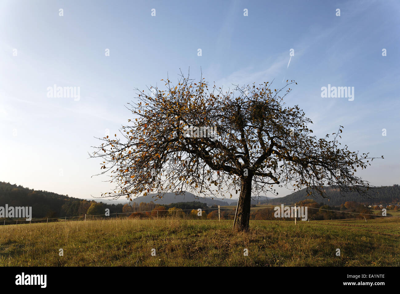 Autumnal Landscape Stock Photo