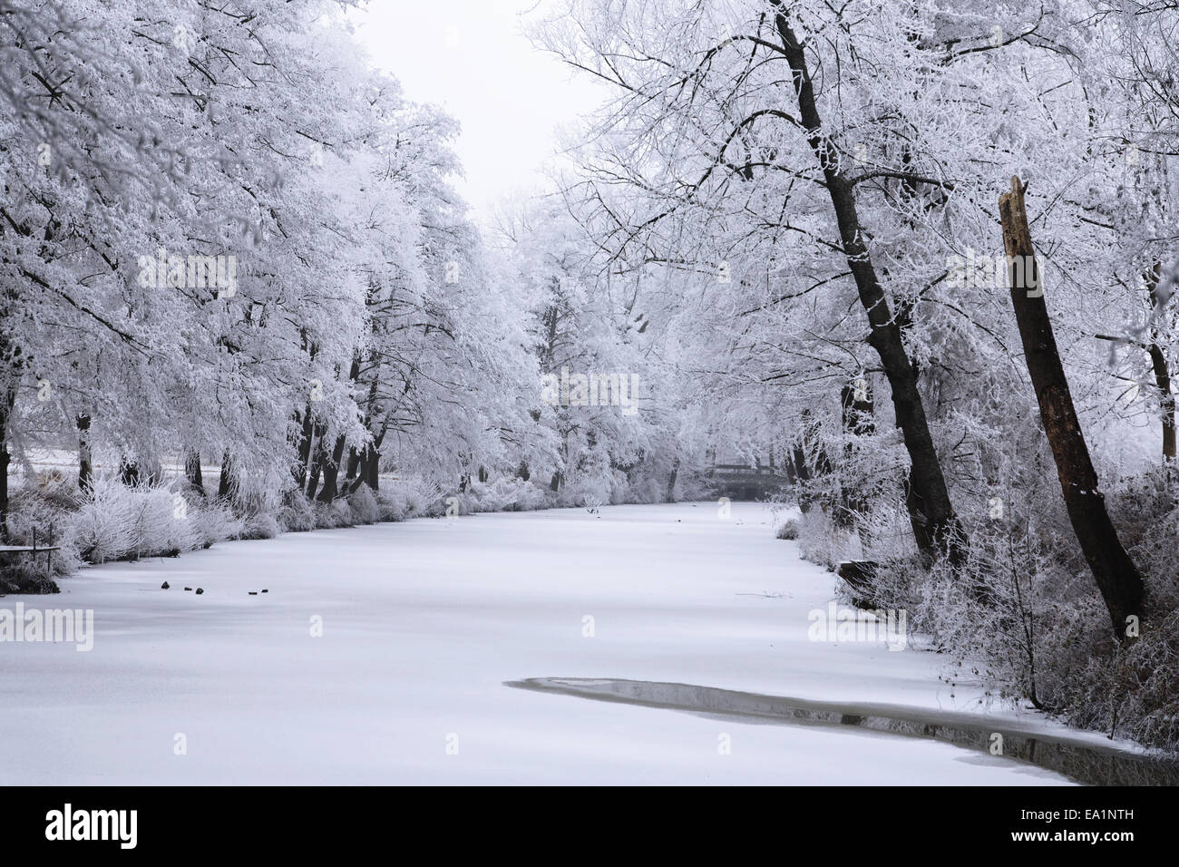 Teich eis hires stock photography and images Alamy