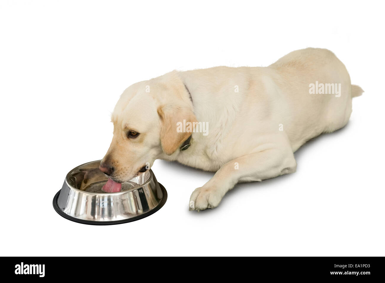 Beside water Cut Out Stock Images & Pictures Alamy