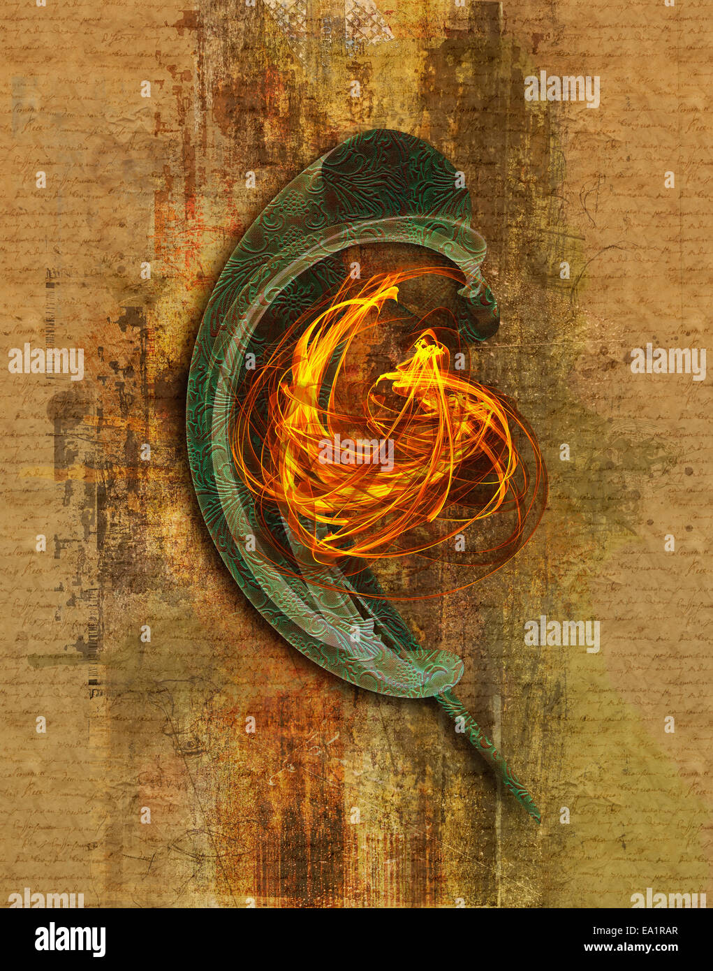 Aurium hires stock photography and images Alamy