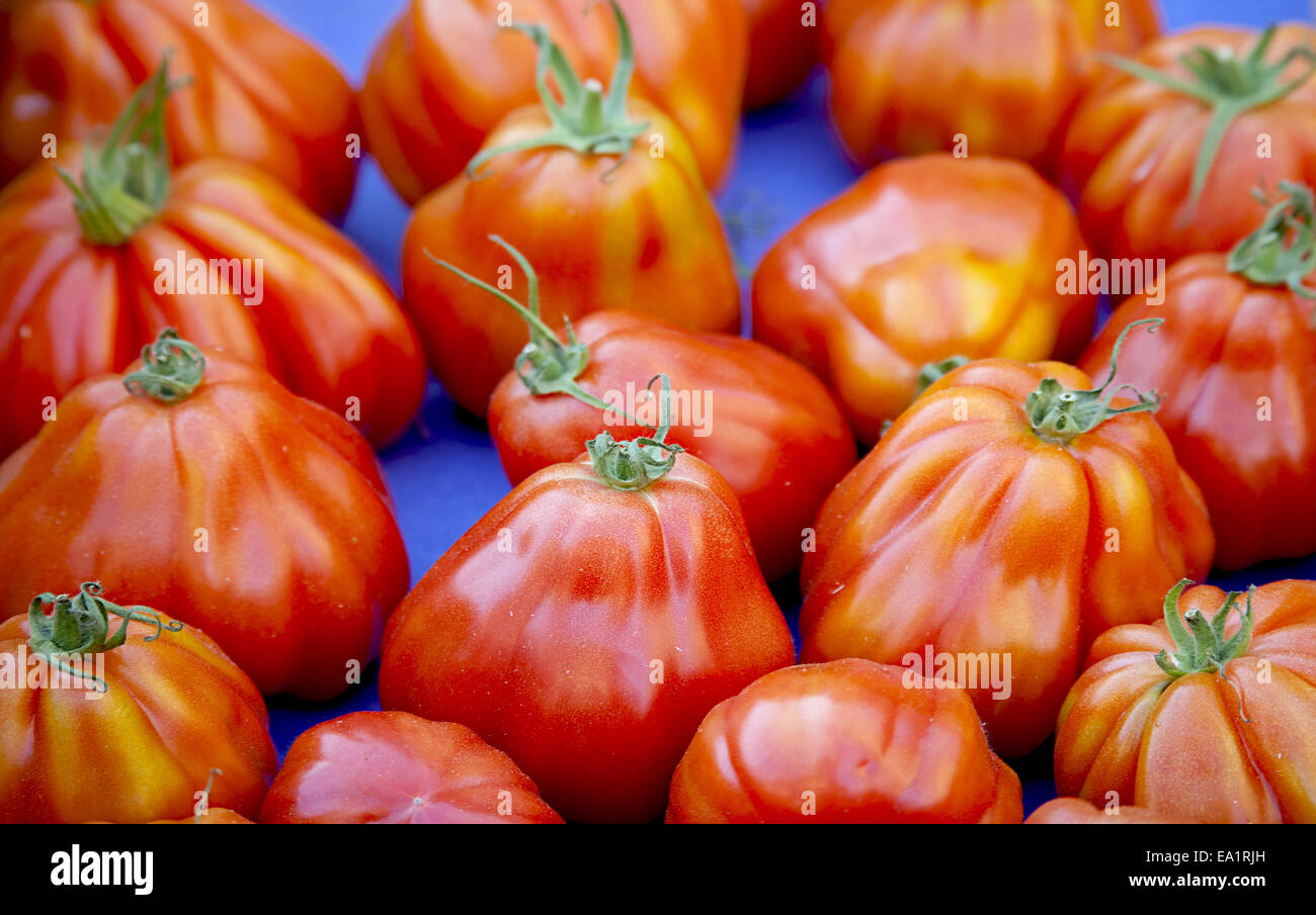 Tomatoes Stock Photo