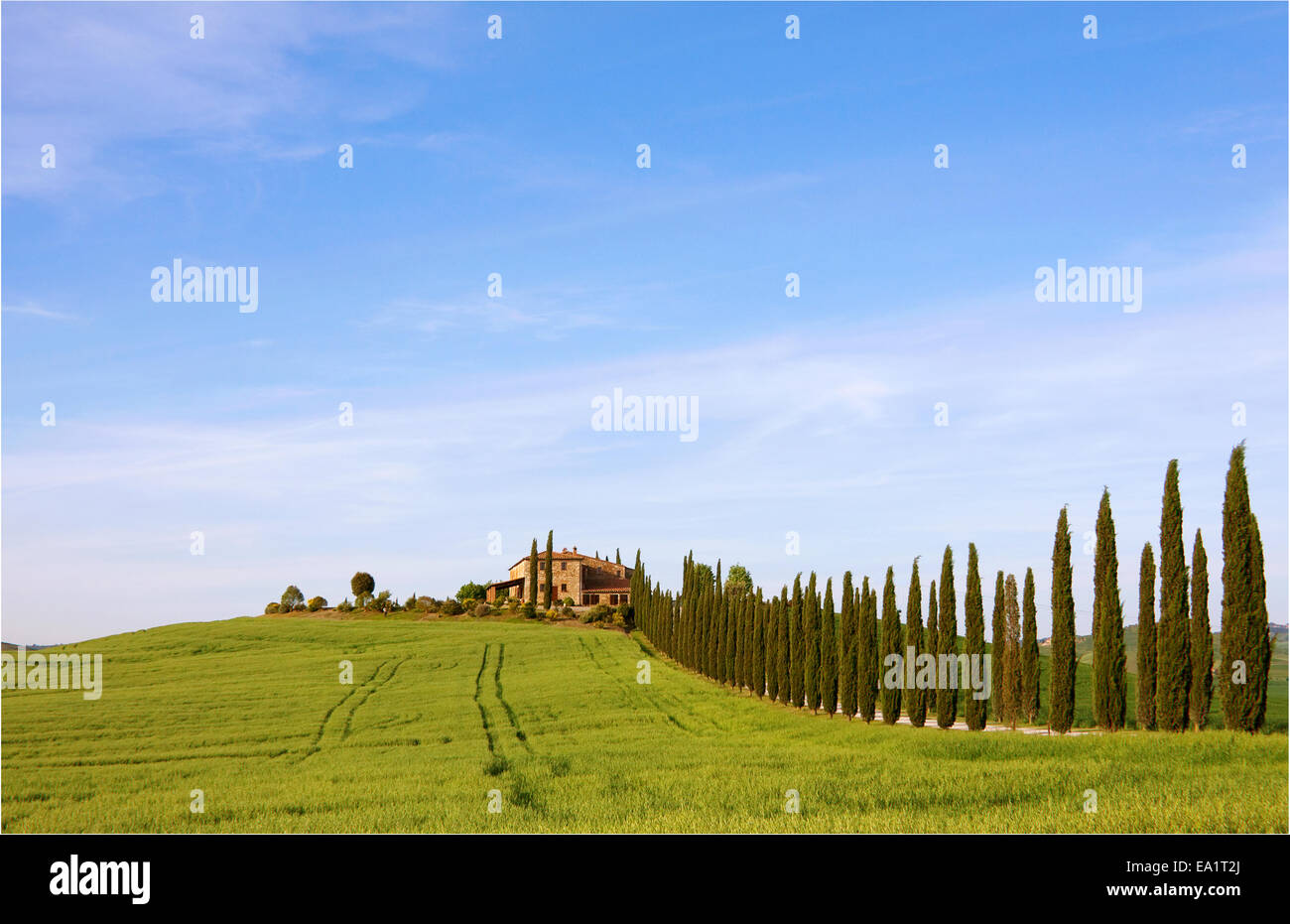 Country house in Tuscany Stock Photo - Alamy