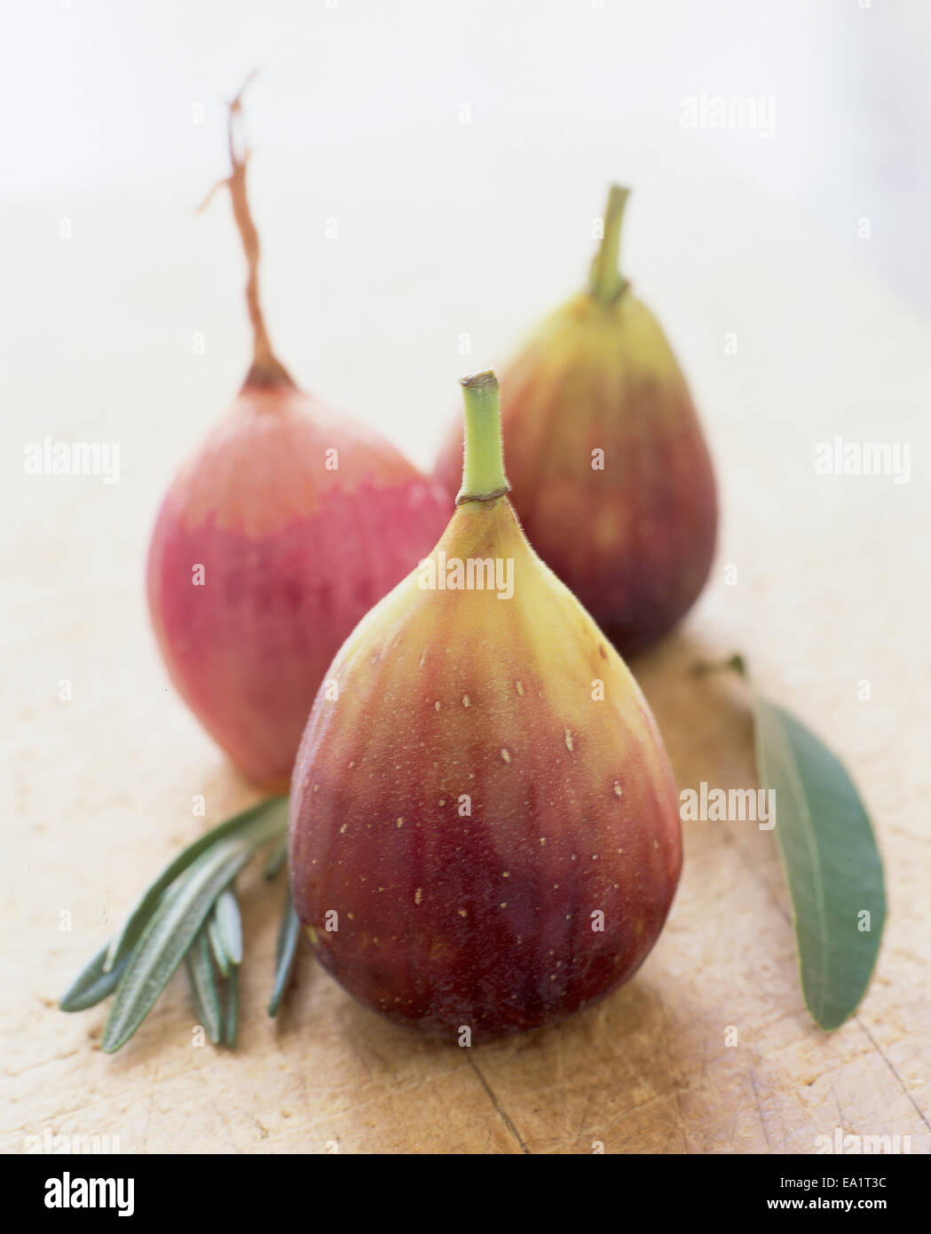 figs and rosemary and sage Stock Photo