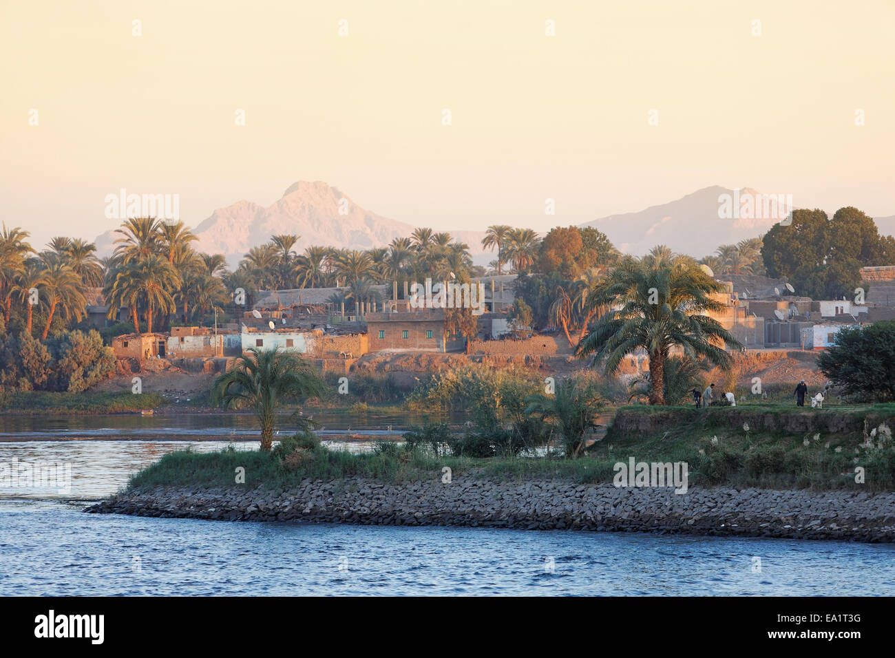 Evening atmosphere on the banks of the Nile Stock Photo