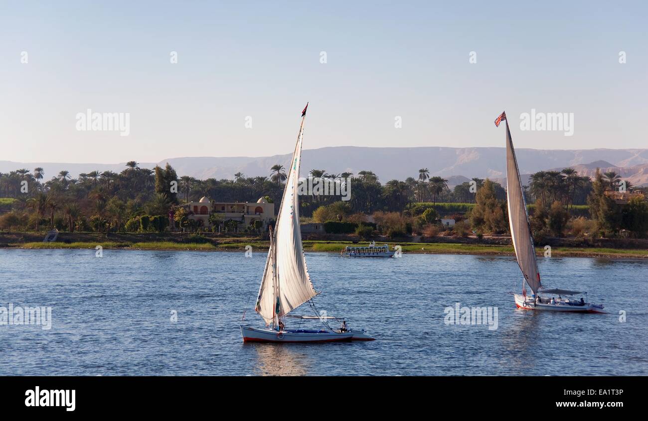 On the Nile Stock Photo