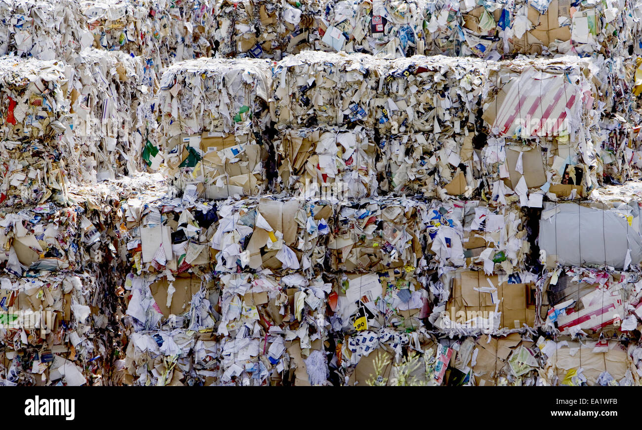 wastepaper Stock Photo