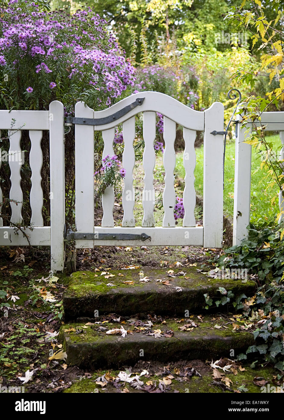 Autumn Stock Photo