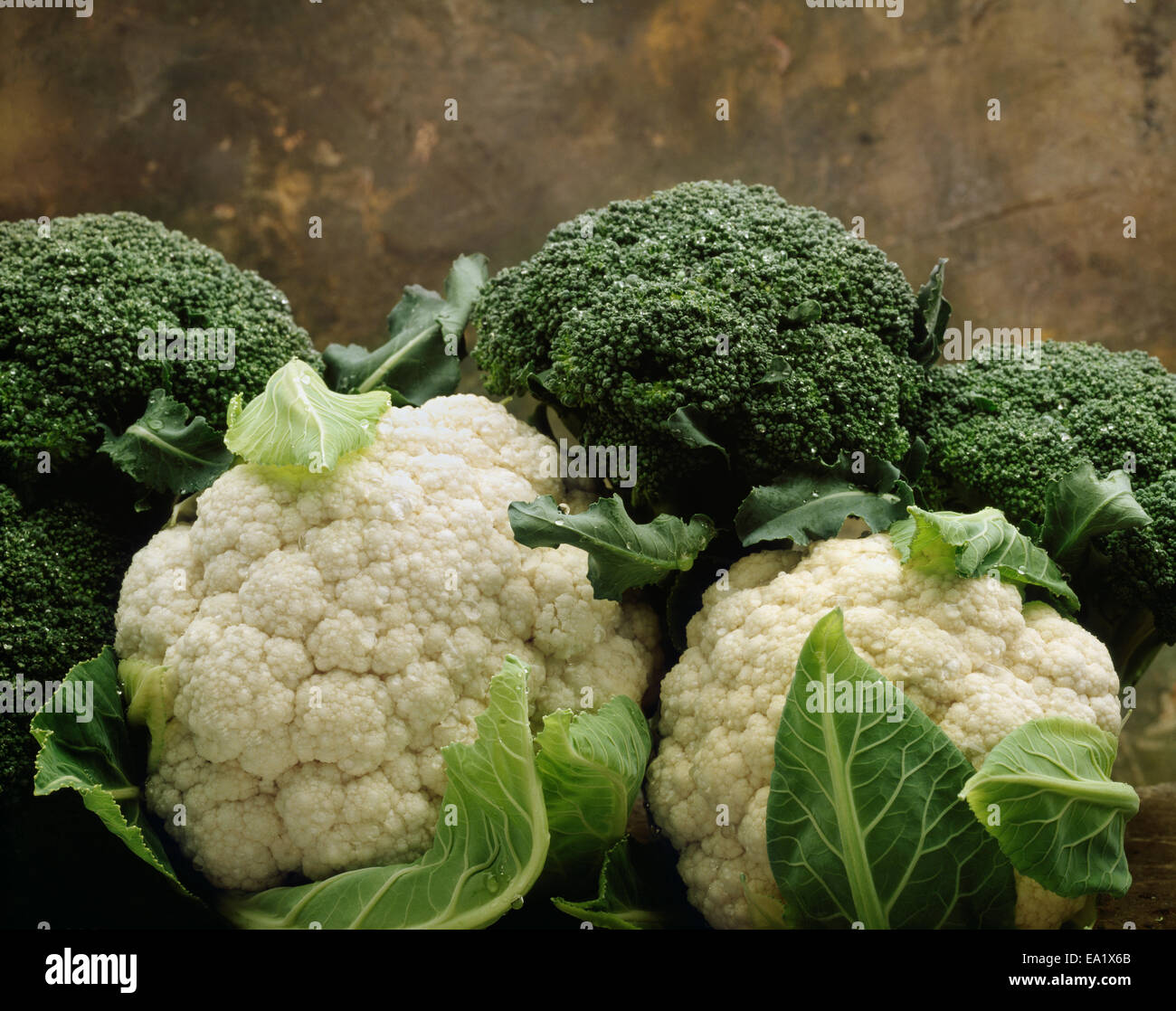 Agriculture Broccoli crowns and cauliflower heads on marble, in