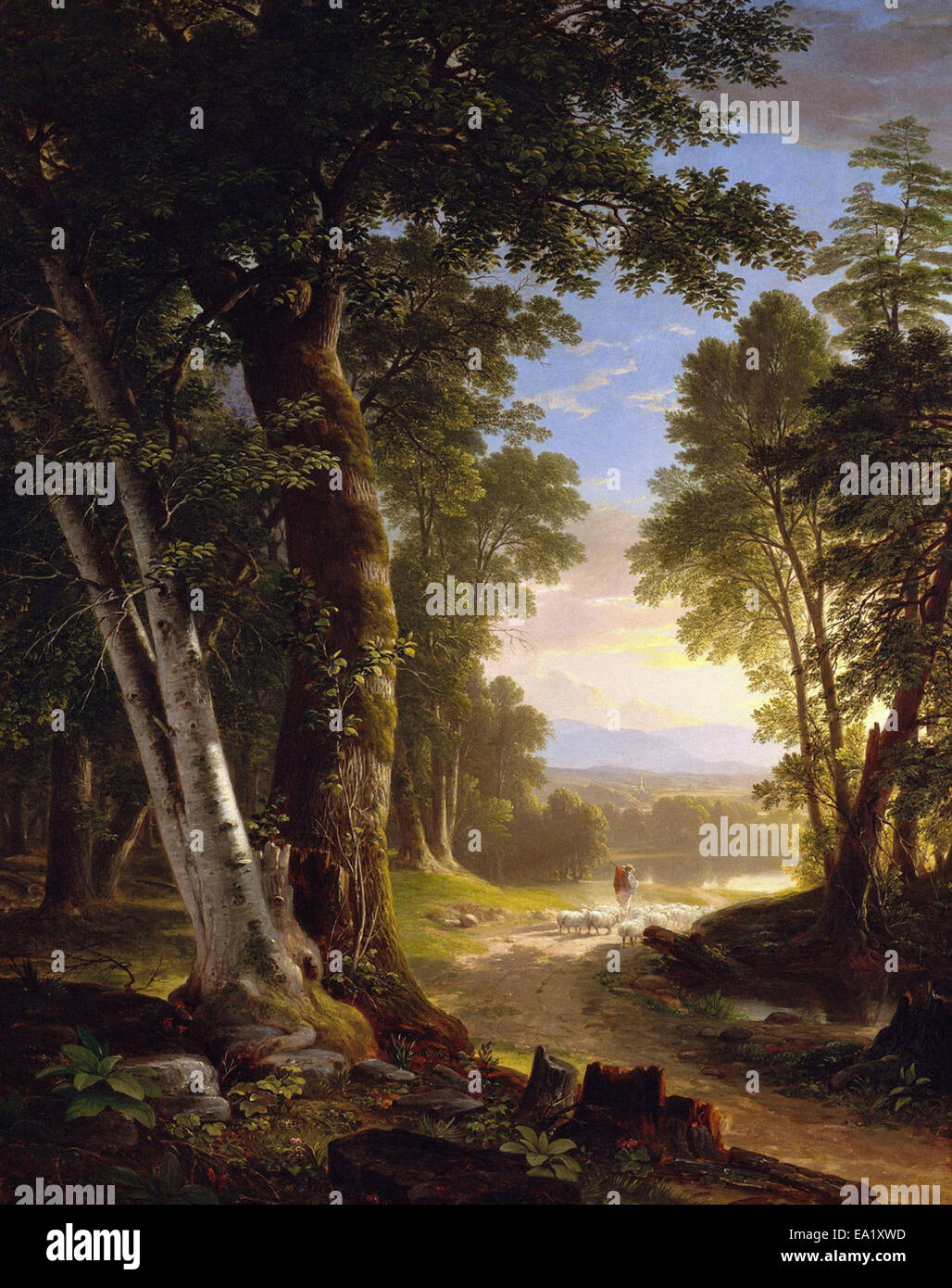 Asher Brown Durand  The Beeches Stock Photo