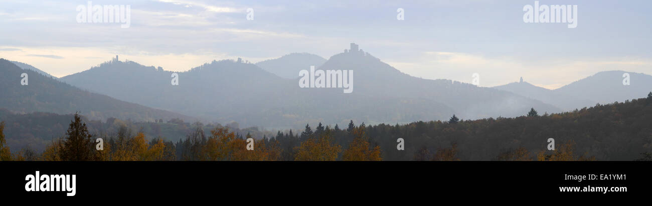 Palatinate Forest Stock Photo