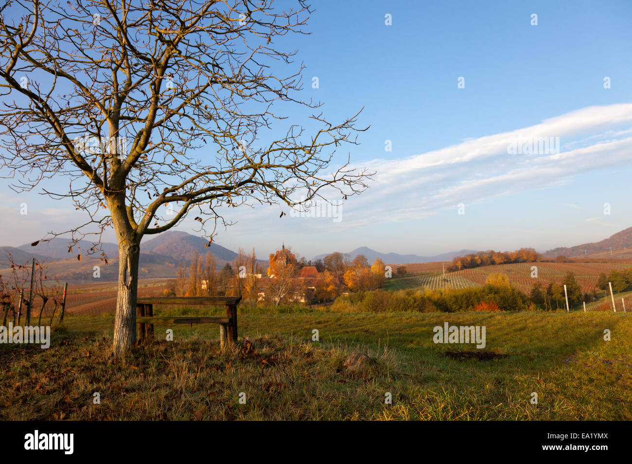 Landscape in Palatine Stock Photo