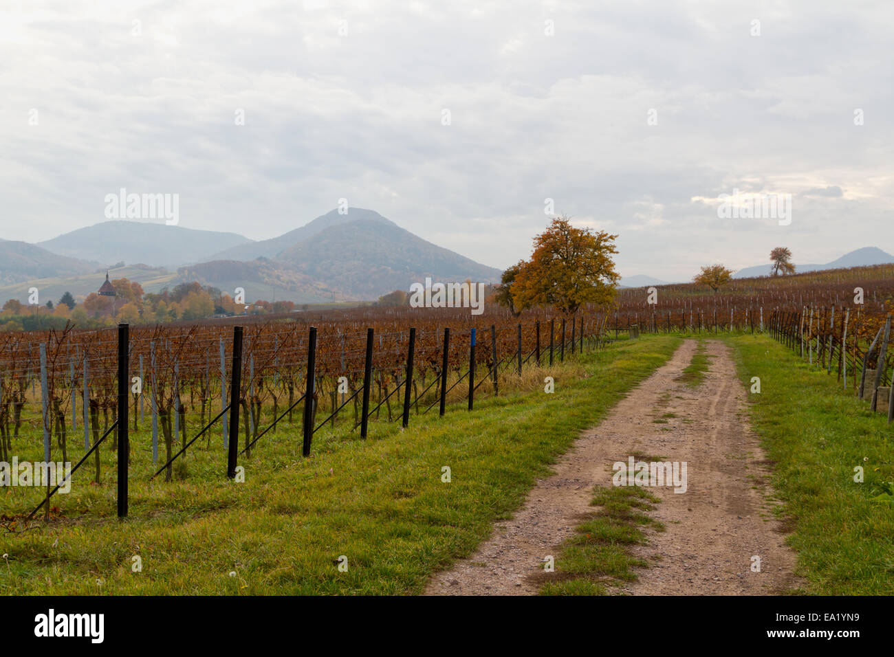 one  day in November Stock Photo