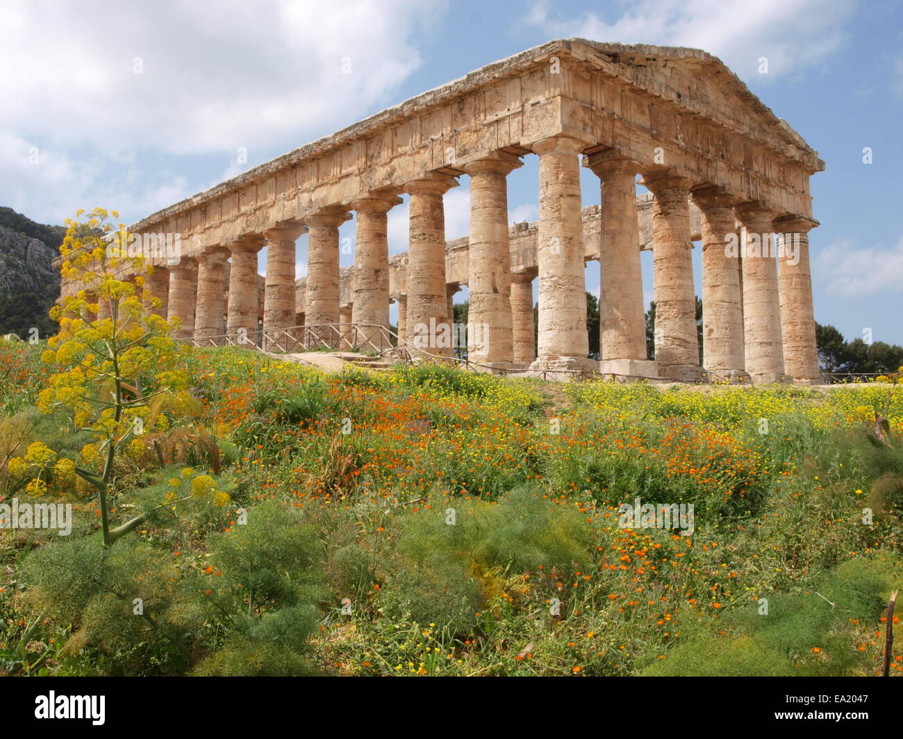 Doris greek temple at Segesta, Sicily, Italy Stock Photo