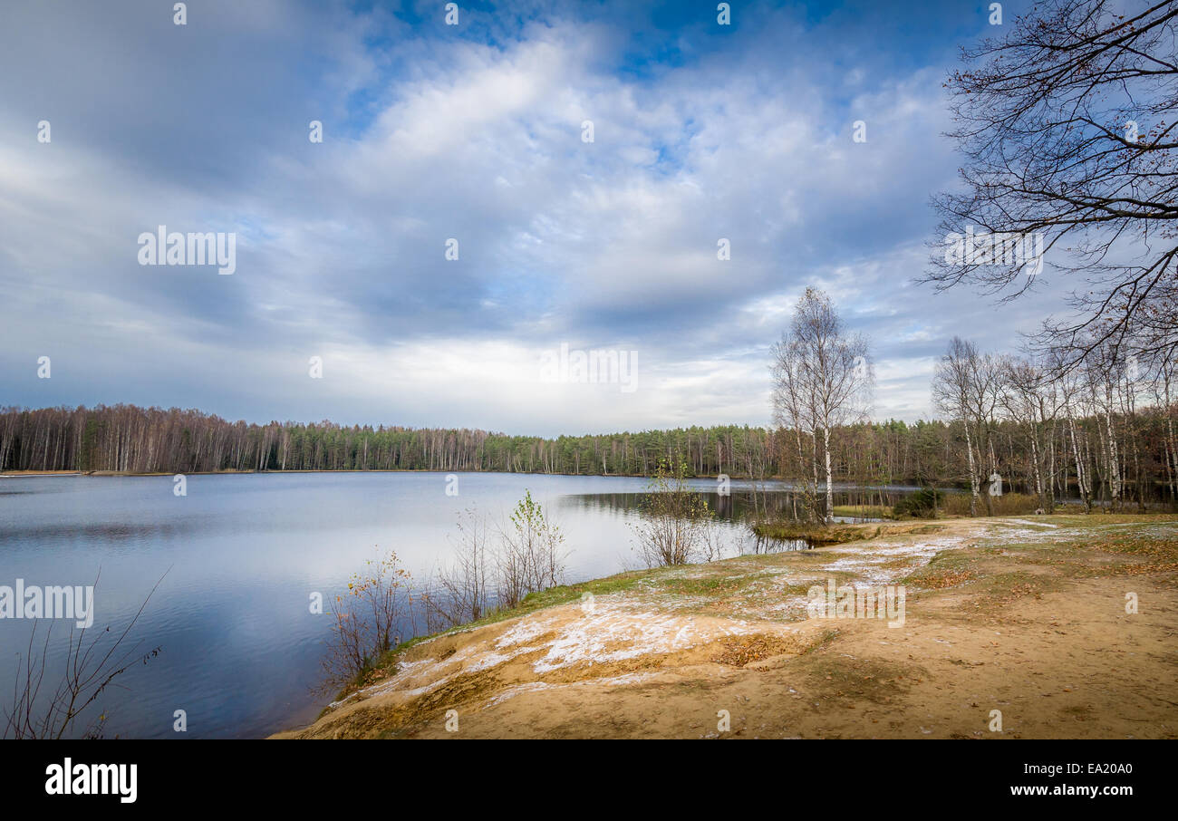 Spring landscape in the forest with snow and first hi-res stock ...