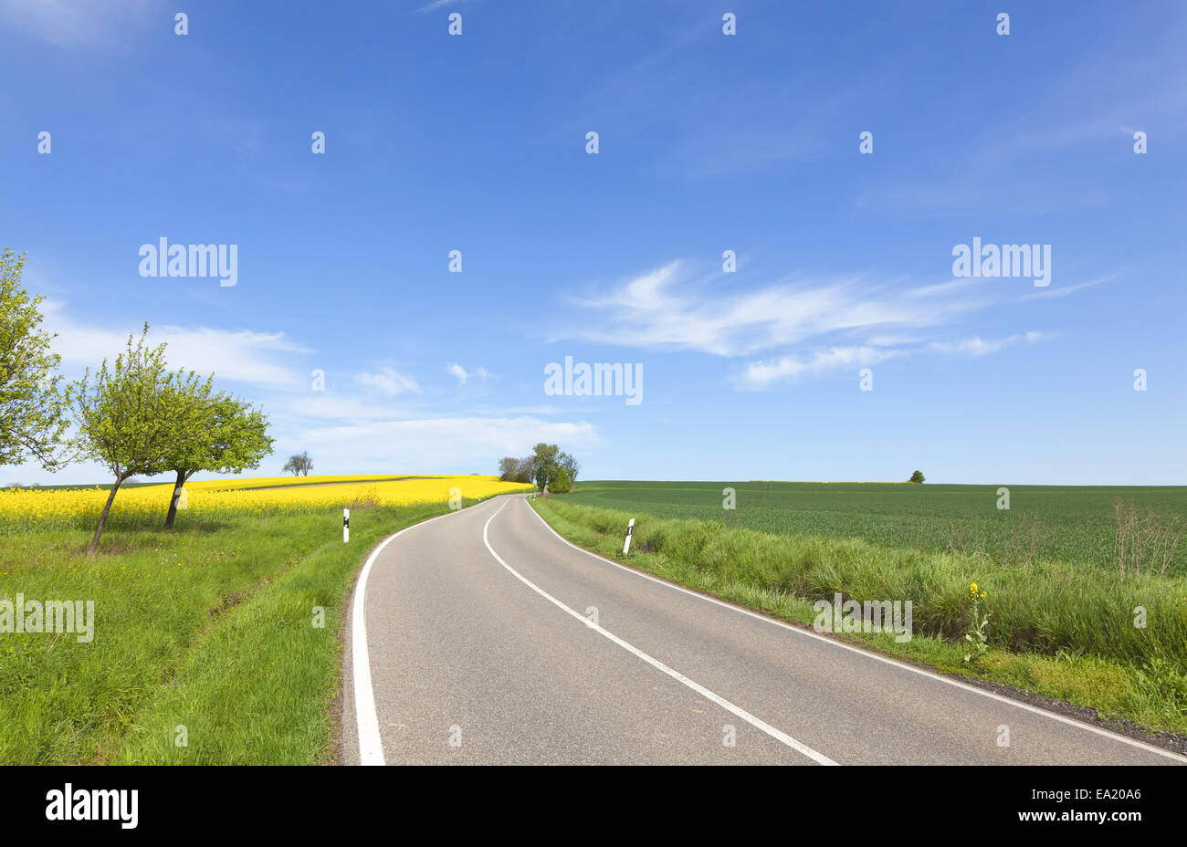 Spring Country Road Images Rapsbluete High Resolution Stock Photography and Images - Alamy