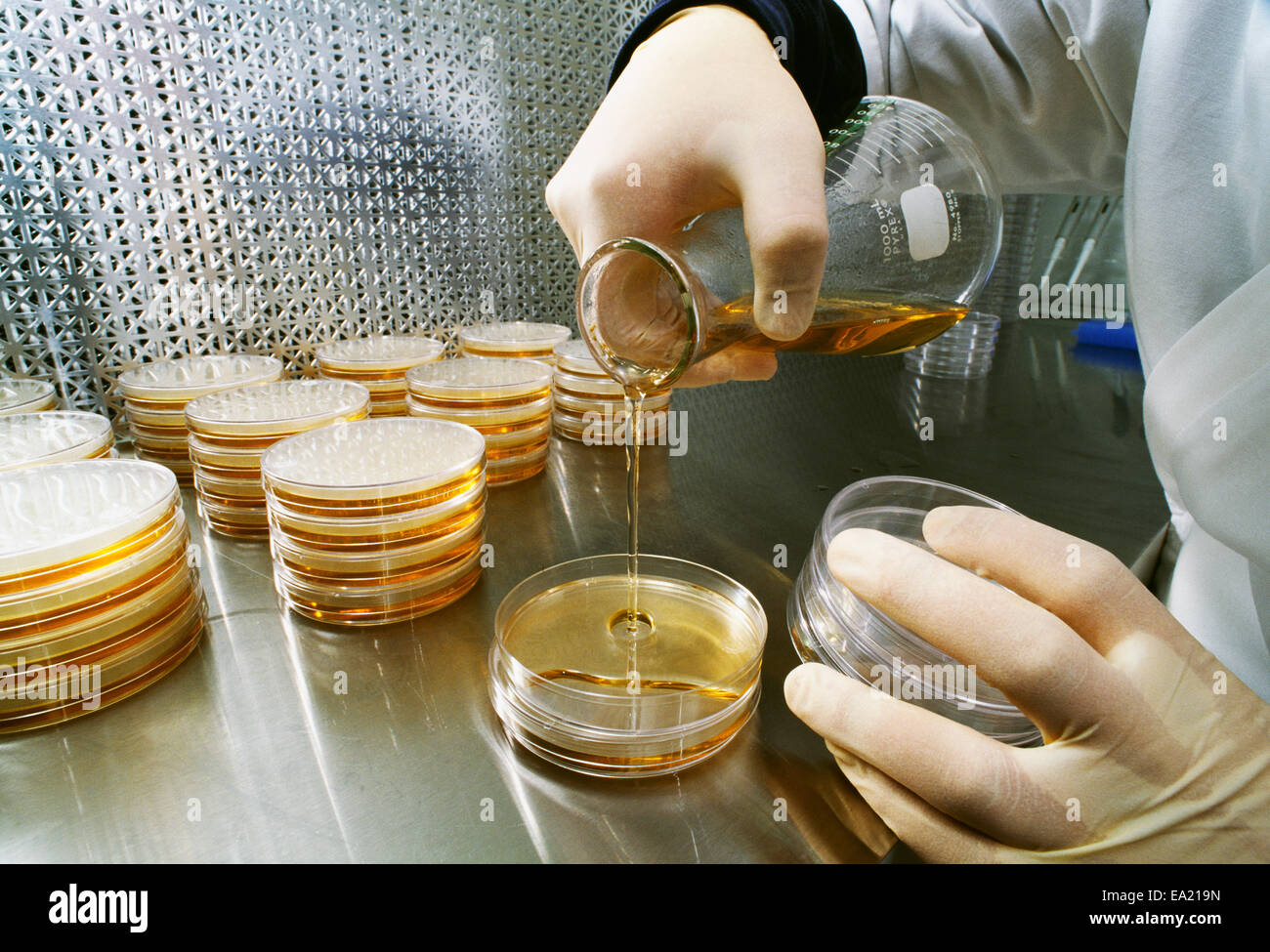 Ag research hi-res stock photography and images - Alamy