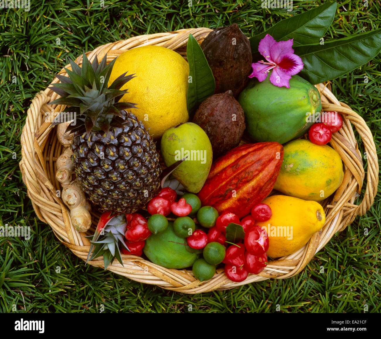 Hawaii fruit basket hi-res stock photography and images - Alamy
