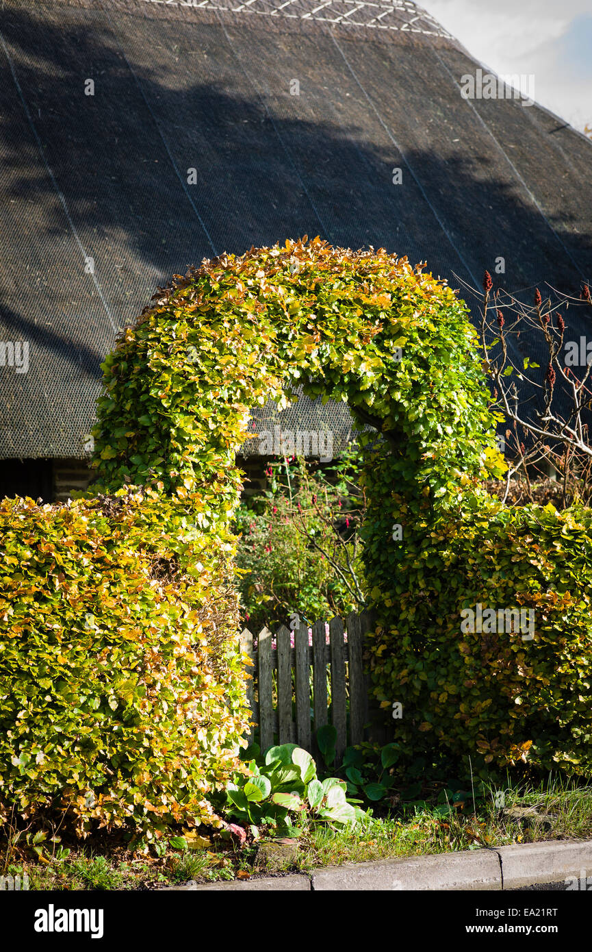 Over trained hi-res stock photography and images - Alamy