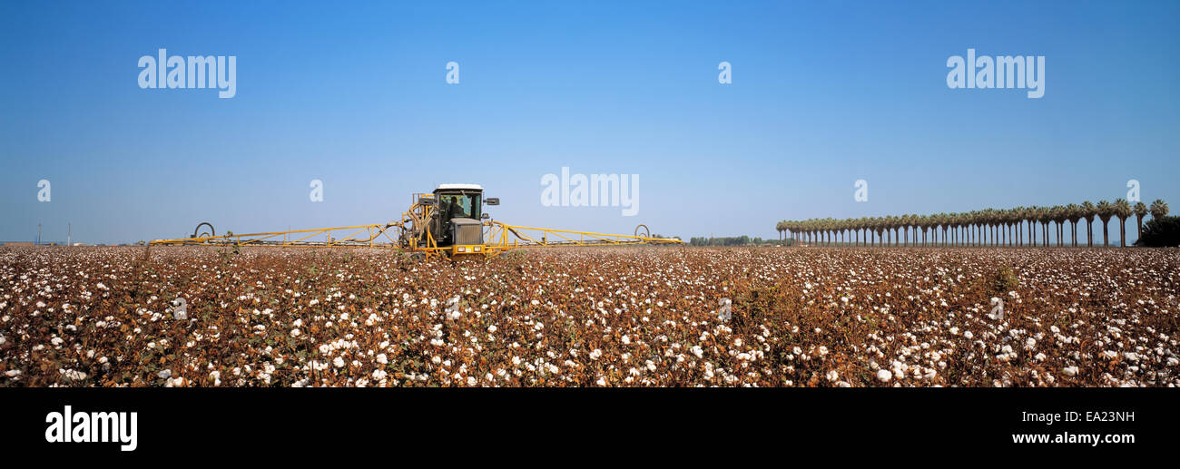 Matue hi-res stock photography and images - Alamy
