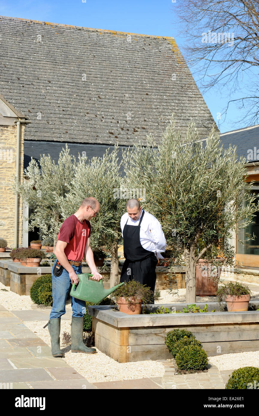 A Gardener Watering Raised Beds Of Herbs With The Chef Of A