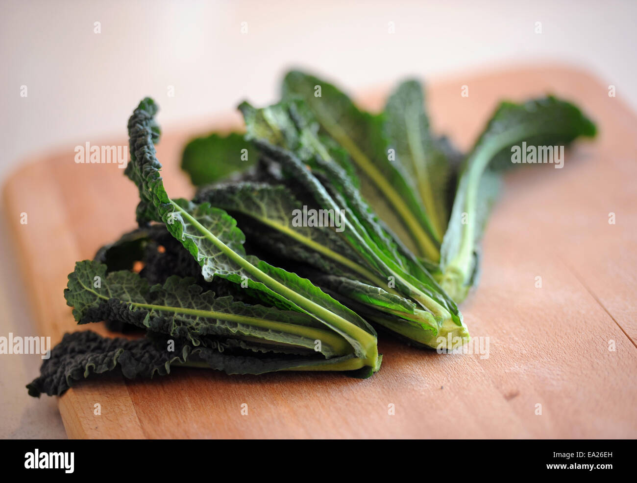 Italian Black Cabbage or Kale Stock Photo