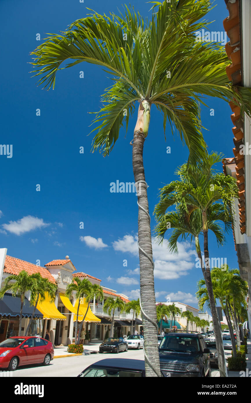 WORTH AVENUE PALM BEACH FLORIDA USA Stock Photo