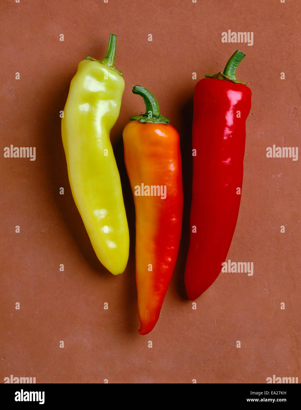 Agriculture - Hungarian wax peppers on tile, closeup; Volcano variety, studio. Stock Photo